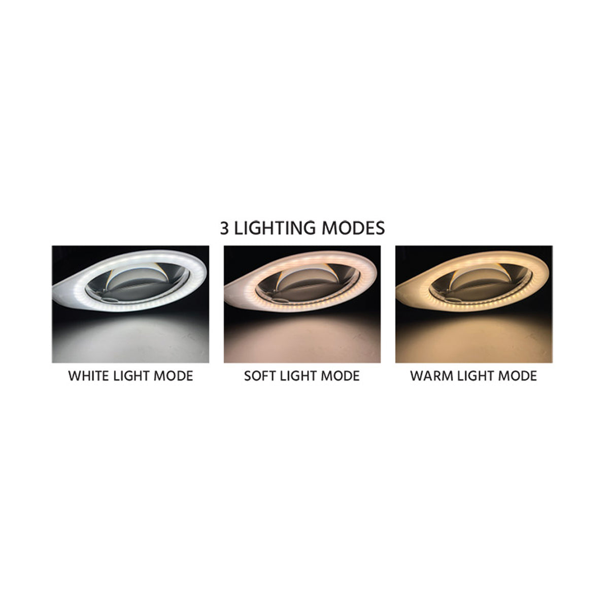 EZ-View LED & Magnifier Desk Lamp